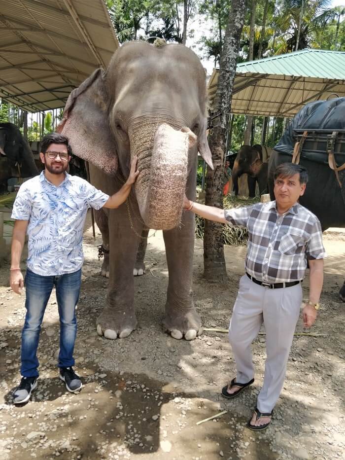 Elephant Ride