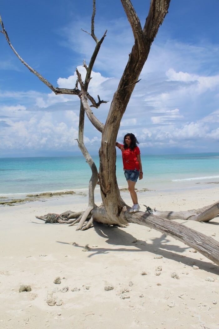 honeymoon in andaman honeymoon in andaman