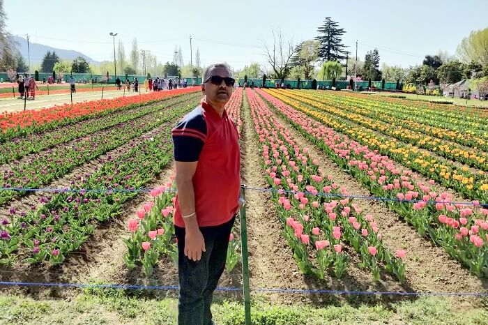 In Tulip Garden