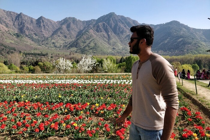 Tulip Garden View
