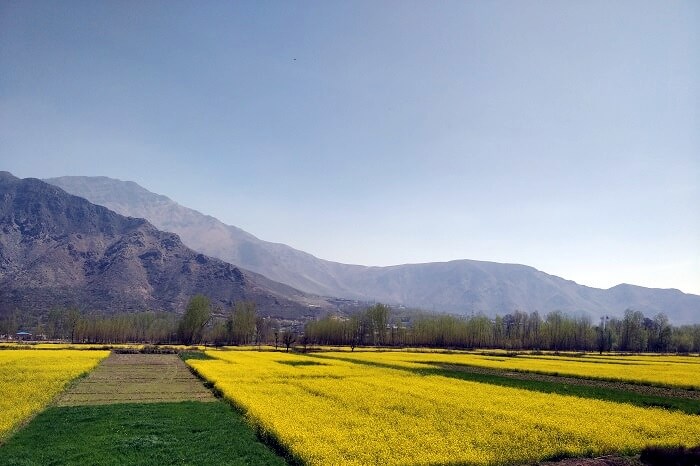 Pahalgam valley