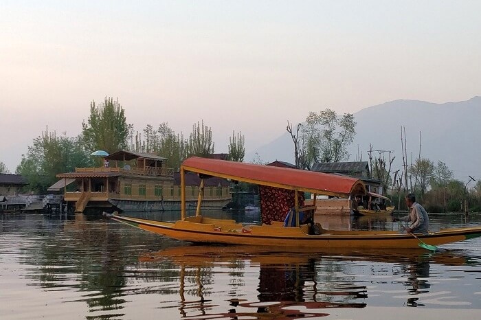 Shikara Boat