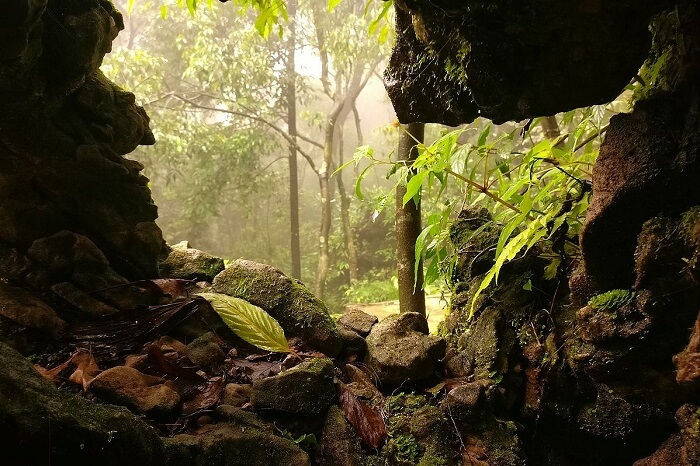 Nongthymmai Eco Park