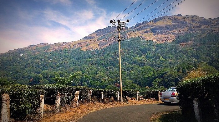 Pothamedu View Point