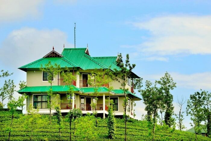 Vagamon Green Hill