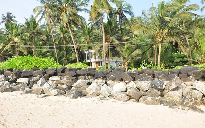 a sandy beach in front of White Shell Beach Resort and Spa s