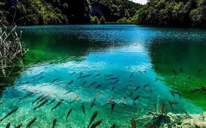 acj-1106-croatia-national-park1