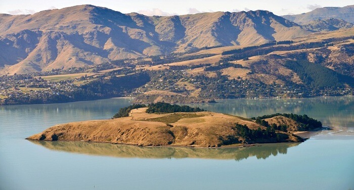 a small island amid a green lake