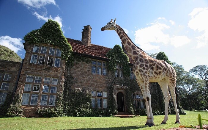 acj-3005-giraaffe-manor-kenya (6)
