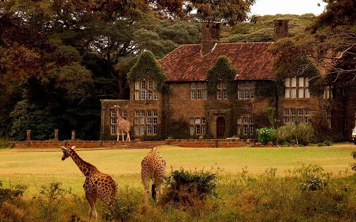 acj-3005-giraaffe-manor-kenya (8)