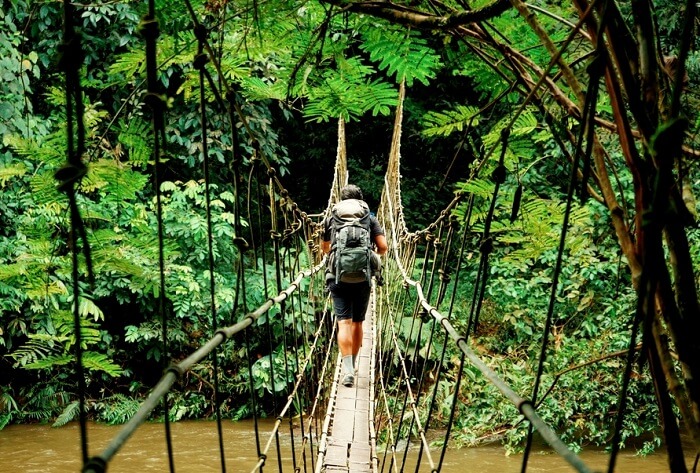 man walking into the wild