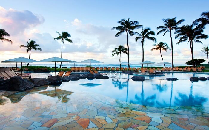 luxurious outdoor swimming pool with palm trees around it ss18062018