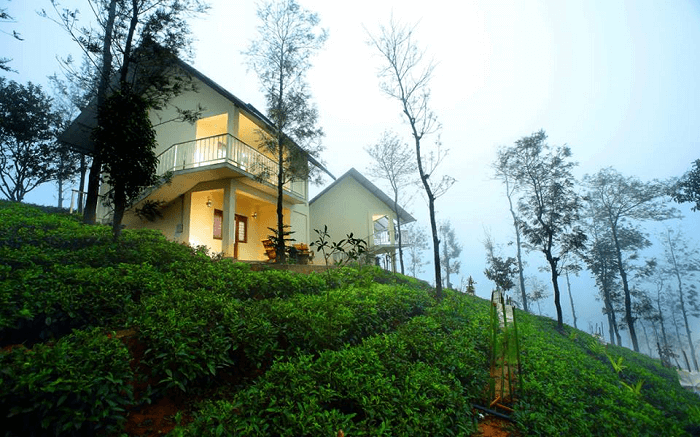 the beautiful Winter Vale amid tea gardens