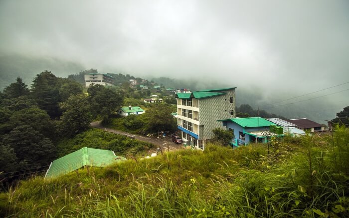 the misty mountains of Pangot