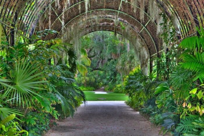 unique-flower-gardens-in-orlando-orlando-botanical-garden-