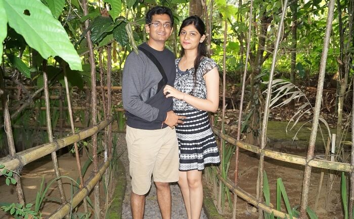 Monkey Forest Bali