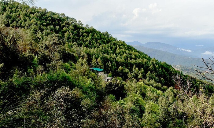 Nature’s Valley Resort