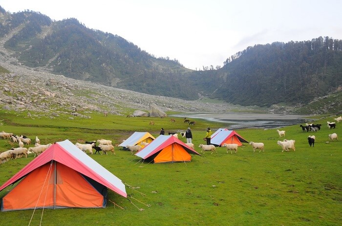 Camping