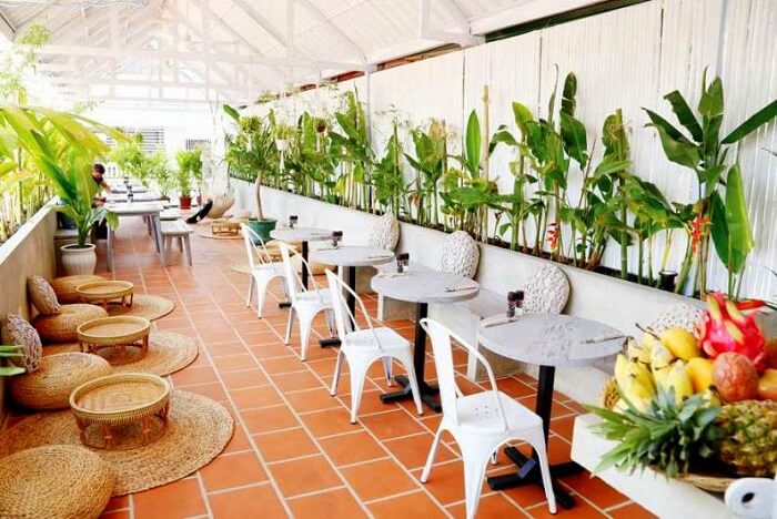Dinner at The Vibe Cafe phnom penh