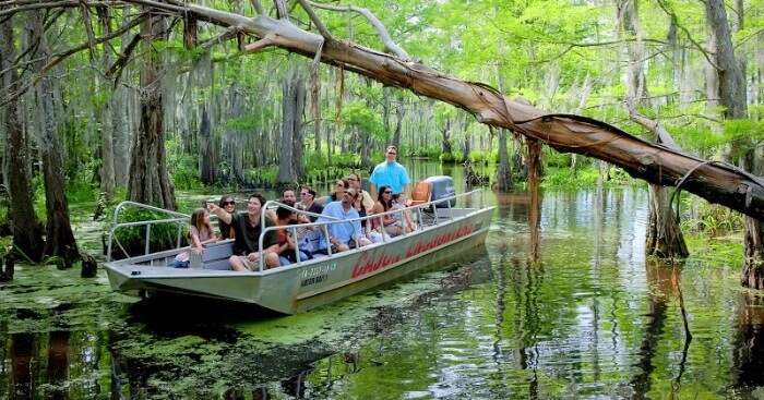 the swamps of New Orlean