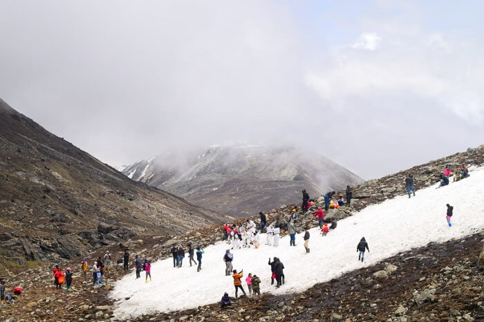 Yumthang Valley