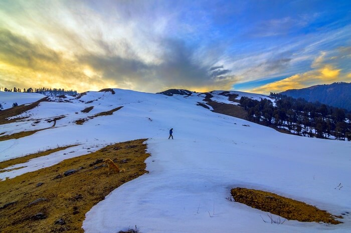 Taste The Thrill Of Trekking uttarkashi