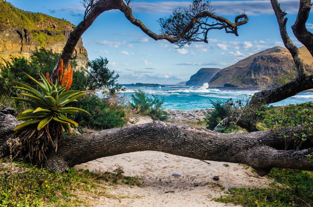 The Wild Coast