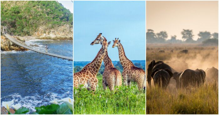 South Africa adventure places cover image