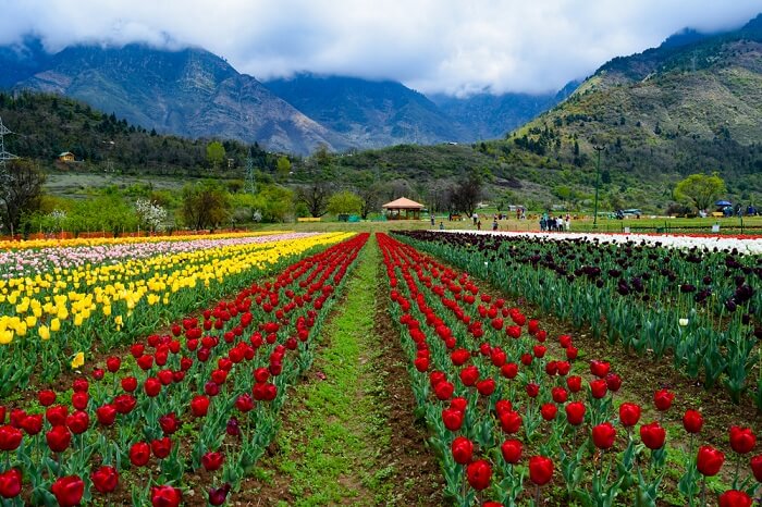 15 Unbelievably Beautiful Places To Visit In Kashmir In 2019