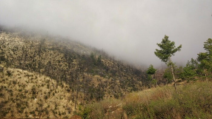 rohit bhutan family trip travelogue fog
