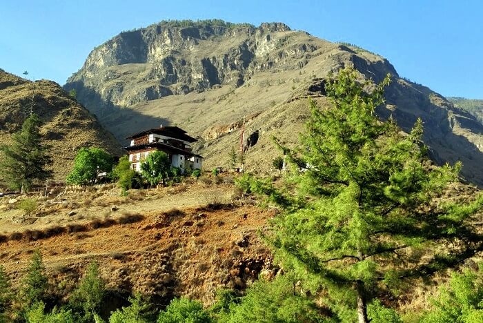 rohit bhutan family trip travelogue monastery in green