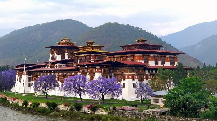 rohit bhutan family trip travelogue monastery purple trees