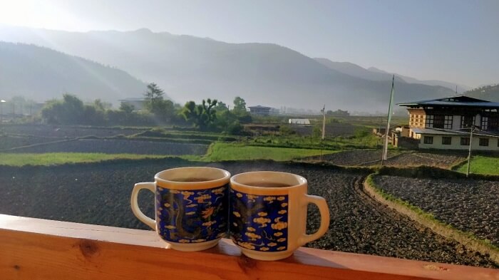 rohit bhutan family trip travelogue tea