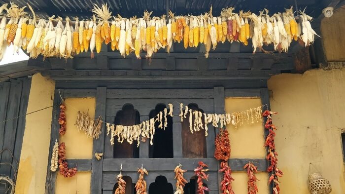 rohit bhutan family trip travelogue village