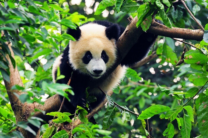 Amazing experiences in China
