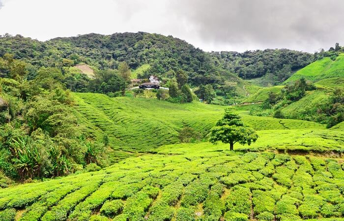 Beautiful hill stations near Singapore