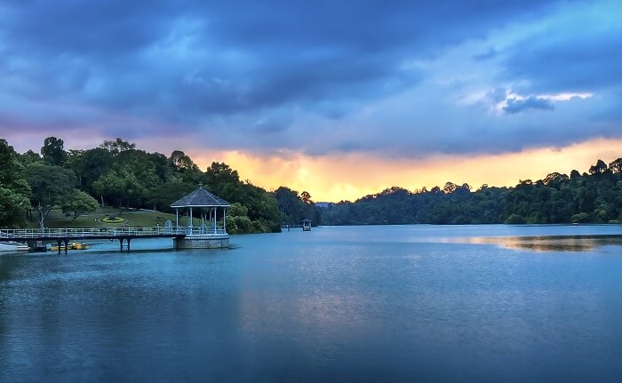 MacRitchie Reservoir Singapore
