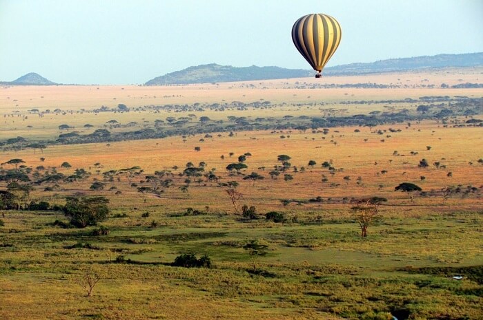 Air Safari