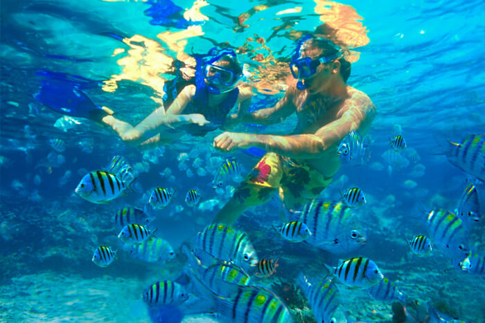 Blue Bay Marine Park in Mauritius