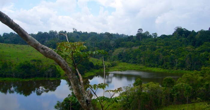 Book Khao Yai National Park Tours