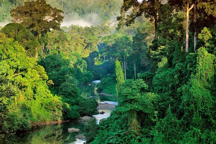  Borneo  Island A Handy Guide To The Malay Archipelago
