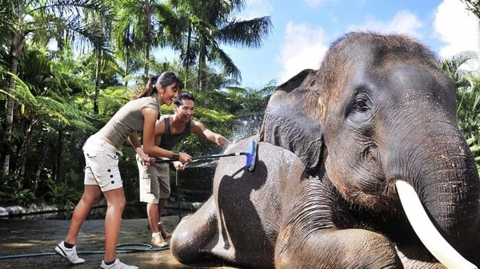 Elephant Safari Park