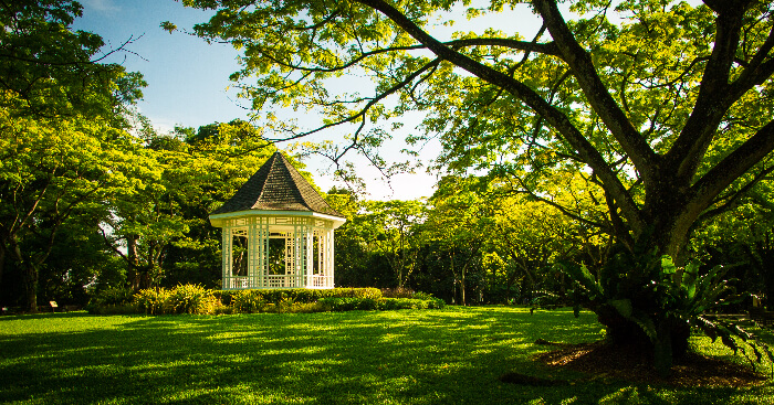 10 Scenic Gardens In Singapore For A Heavy Dose Of Awesomeness