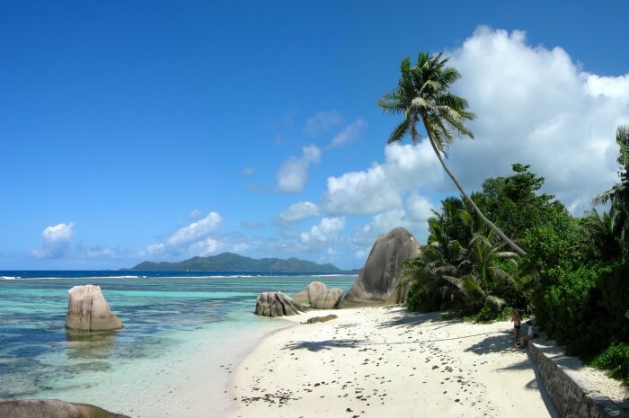 Flora and fauna of Baie Ternay National Park