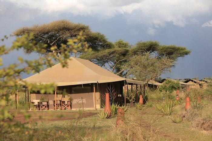 Kenzan Luxury Camp