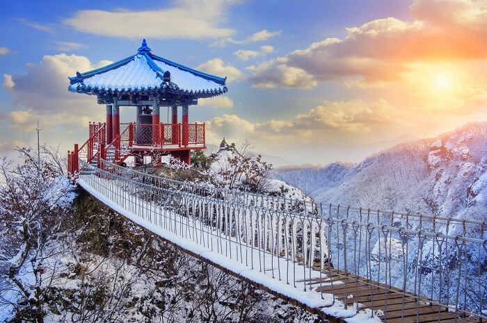 best time to visit korea in winter