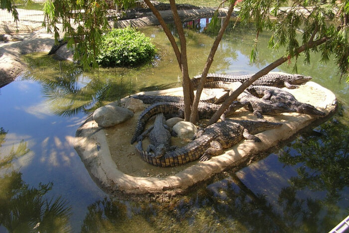 La Vanille Crocodile Park Mauritius