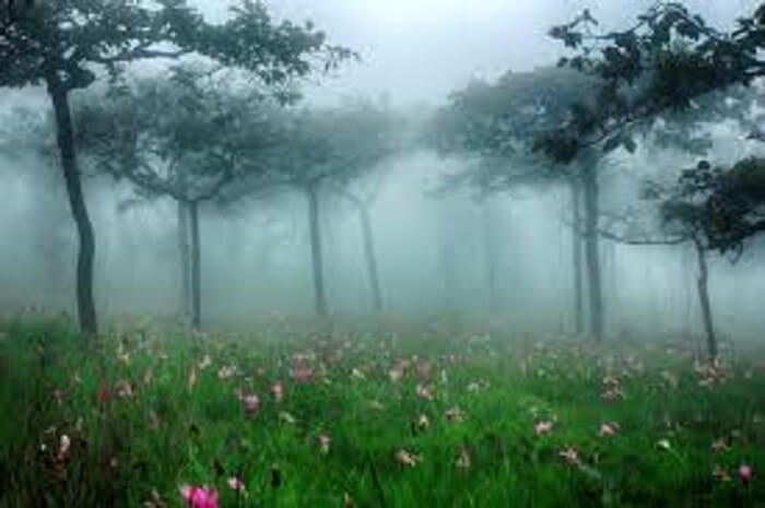 National Parks In Thailand