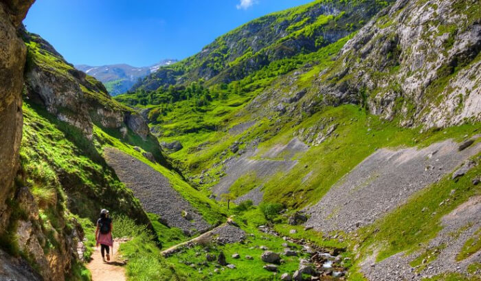 Picos de Europa Greenary