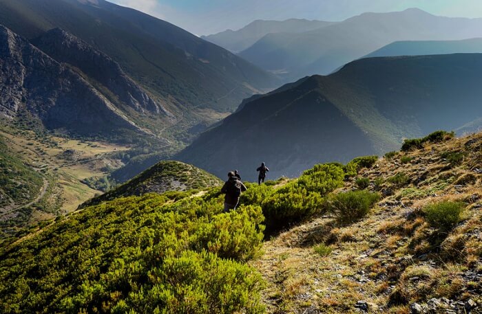 Picos de Europa